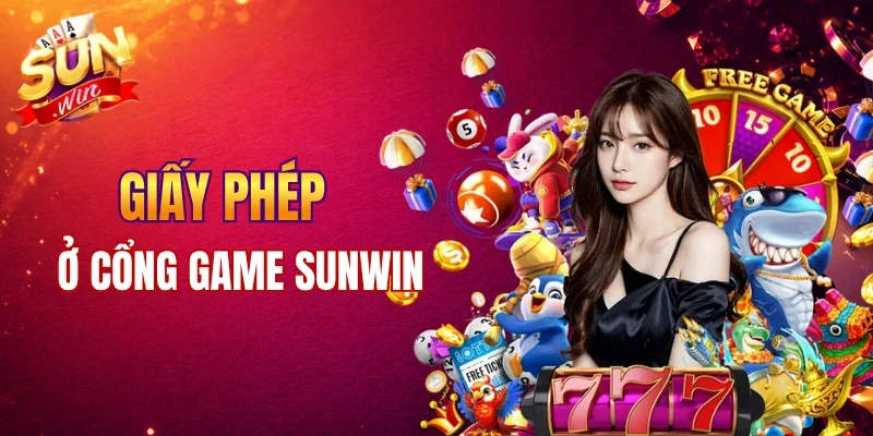 Tổng quan giấy phép và đơn vị điều hành chính của cổng game 